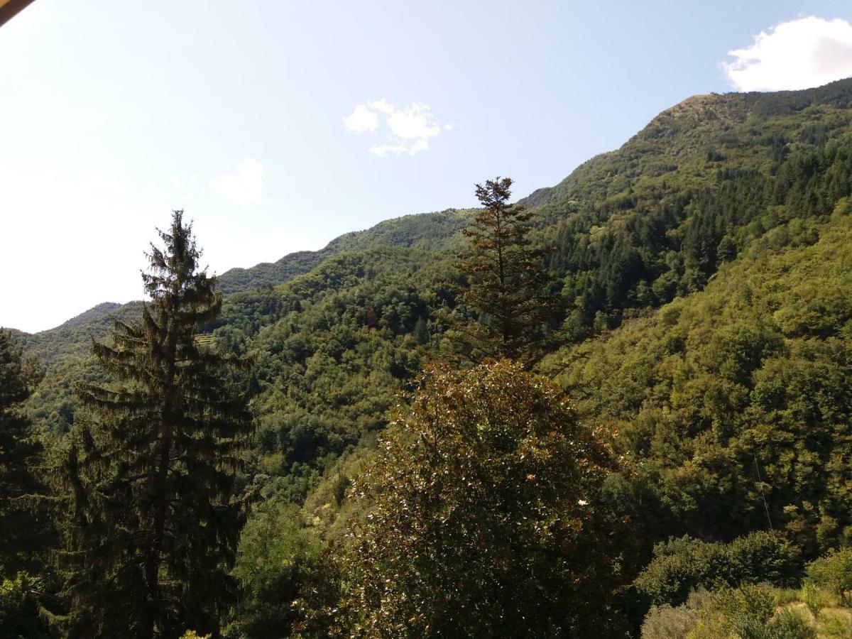 Casa Della Posta Διαμέρισμα Borzonasca Εξωτερικό φωτογραφία