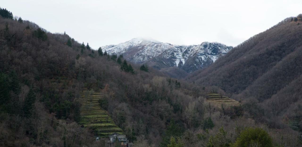 Casa Della Posta Διαμέρισμα Borzonasca Εξωτερικό φωτογραφία